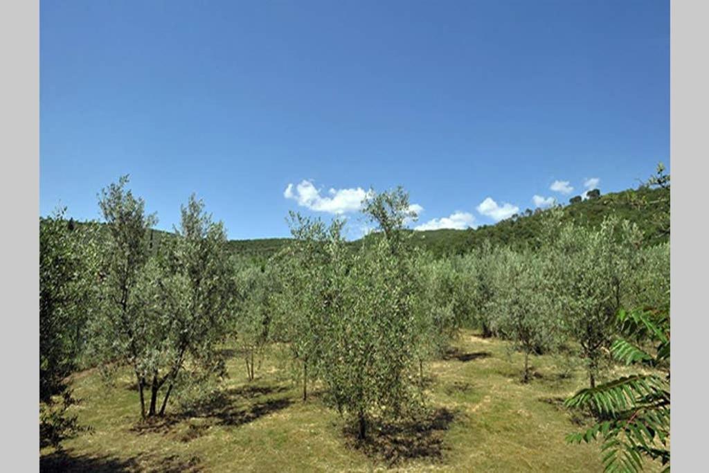 קסטיליון פיורנטינו Tuscan Charme Of Cottage Roccaio Countryside Cortona מראה חיצוני תמונה