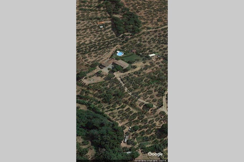 קסטיליון פיורנטינו Tuscan Charme Of Cottage Roccaio Countryside Cortona מראה חיצוני תמונה
